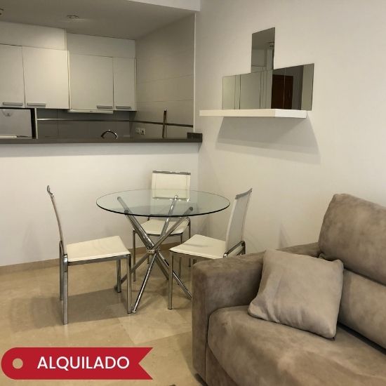 Alquiler anual. Apartamento un dormitorio zona Pº Marítimo